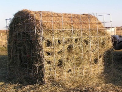 Министрлік «ҚТЖ» ұлттық компаниясынан көмек сұрады.