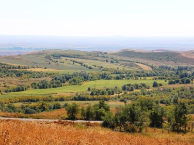 ШҚО Қытайға жер беру туралы мәлімдеме жасады.