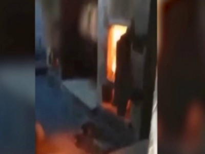 Ақтөбеде ит өртеген ветеринарлар елді шошытты.