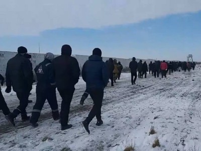 Ақтөбедегі доңыз шаруашылығына қатысты қылмыстық іс қозғалды.