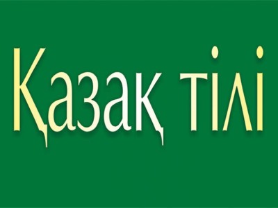 Билік: Мемлекеттік тіл — менің тілім емес.