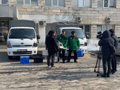 Алматыда иесіз жануарларға арналған жедел ветеринарлық көмек іске қосылды.