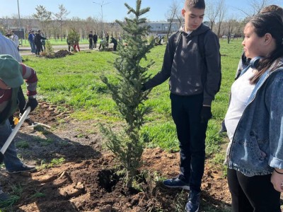 Қарағанды облысында 90 мыңнан аса көшет отырғызылады.