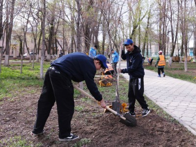 Жамбыл облысы «Таза Қазақстан» экологиялық акциясын қолдады.