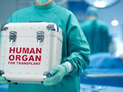 Бүйрегін сатпақ болған азамат сотталмайтын болды.