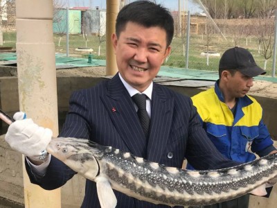Өтемұратовтың алаяқтық жасаған жиені жеңіл жазамен құтылып кетті.