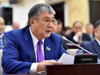 Сенатор: көп балалы отбасыларға берілетін жәрдемақыны өсіріп, үй мәселесін шешу керек.