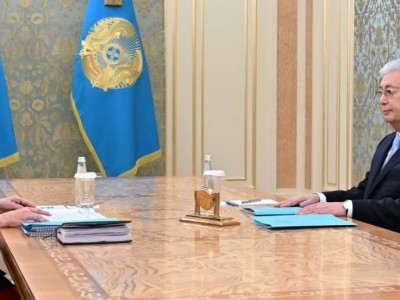 Мемлекет басшысы Мәдениет және ақпарат министрі Аида Балаеваны қабылдады.