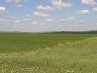 Тоқаев әкімдердің жайылымдық жерді иемденіп алған байлардың алдында қауқарсыз екенін айтты.