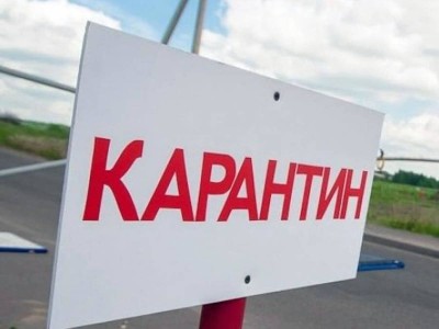 Коронавирус жағдайында Орталық Азия елдері репрессиялық әдіске көшкен.