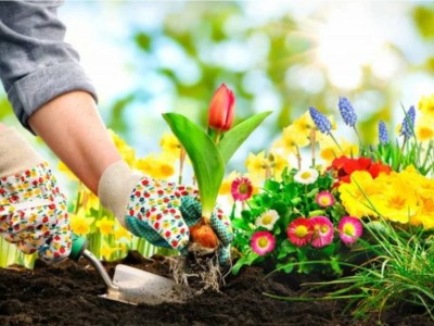 Биыл елімізде Наурыз мерекесі ерекше атап өтіледі.