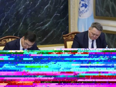 Заңсыз шығарылған активтер ҚР ІІМ Интерполы арқылы қайтарылады.