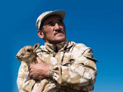 Екі министрліктің екі түрлі жауабы: Браконьерлер ұсталды ма, ұсталмады ма?.