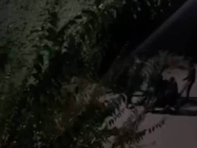 Талғарда жасөспірімнің  өлімі: жеті күдікті ұсталды.