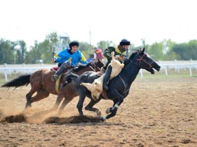 Ұлттық спорт түрлерін дамытуға 6 млрд теңге бөлінеді.