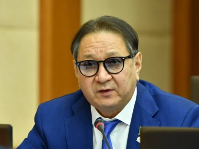 «Бизнесті мазақ етудің бюрократиялық түрі»: Депутат қаржы министрін сынады.