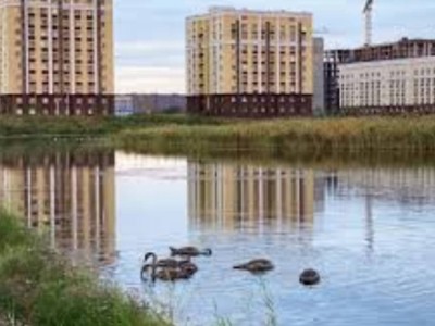 «Иіс, маса болмайды»: Кіші Талдыкөлдегі тіршілік жандана түседі.