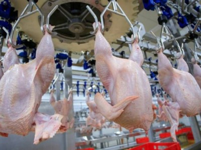 Түркия Қазақстаннан мал мен құс өнімдерін әкелуге қойылған шектеуді алып тастады.