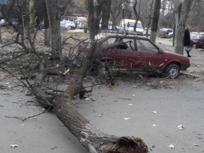Павлодарда қатты дауылдан әйел қайтыс болды.