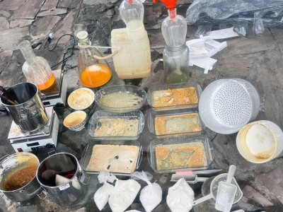 ШҚО-да құны 3,5 млрд теңгеден асатын есірткі заттары тәркіленді.