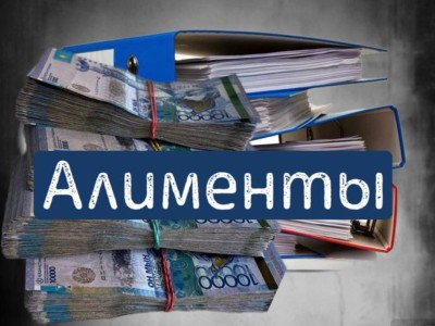 Сот орындаушы баланың алименттерін жымқырған.