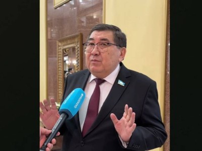 Депутат Ермұрат Бапи неміс дәрігерлері қандай диагноз қойғанын айтты.
