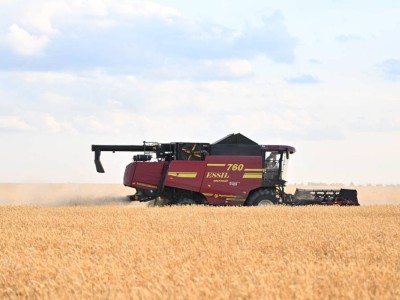 Жыл қорытындысы: Елімізде дәнді дақылдар жинаудан рекордтық көрсеткішке қол жеткізілді.