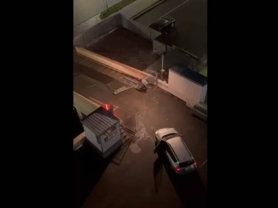 Алматыда күзетшіні өлтірген қай дөкейдің баласы екені белгілі болды.