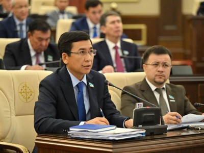 Біз әлі күнге дейін «тізесі шыққан» шараларды қолданамыз. Аймағамбетов жұмыспен қамту бағдарламаларын сынға алды.
