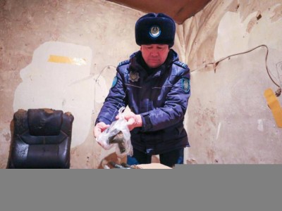 Насыбаймен күрес қызу жүріп жатыр.