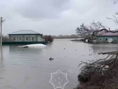 Ұлттық құрылтай ұтымды заңдардың қабылдануына бастамашы болды.