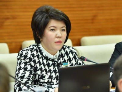Әлеуметтік желіге бақылауды күшейту керек – депутат.