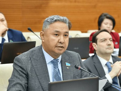 Ресейден Қазақстанның мемлекеттігін құрметтеу керек — депутат.