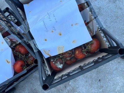 Ресейден жеткізілген қызанақтардан вирус анықталды.