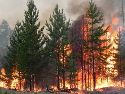 Қостанай облысындағы алапат өртке тракторшы кінәлі болып шықты.
