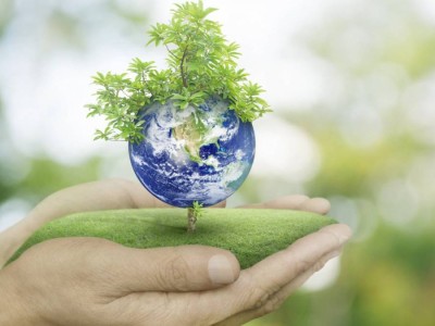 «Eco Almaty» директоры жауапқа тартылды.