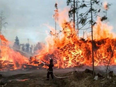 Қостанайдағы өрттен қоршаған ортаға қандай шығын келді?.