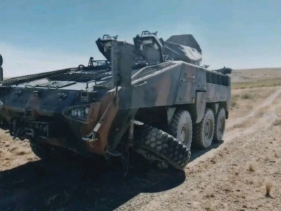 Оңтүстік африкалық техниканы біздің нарыққа тықпалғандардың шикілігі ашылайын деп тұр — әскери сарапшы.