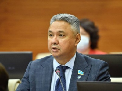 Медведевтің жазбасына РФ уәкілетті органдары түсіндірме беру керек — депутат.