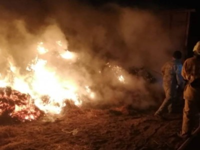 Атырауда үш жасөспірім өртенген шөппен бірге жанып кетті.