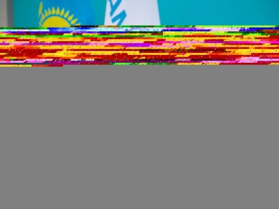 Бас партия бағдарламалық құжаттарды жаңарту жұмысын бастады.