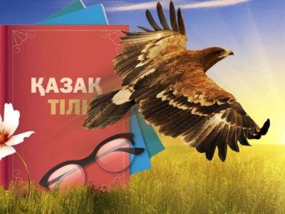 Қазақ тілі мәселесінде құр сөзден түк шықпайды, нақты іс керек – Тоқаев.