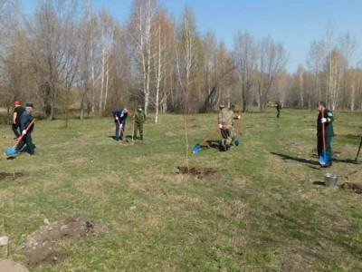 Қай өңірлерде орман аз отырғызылғаны белгілі болды.