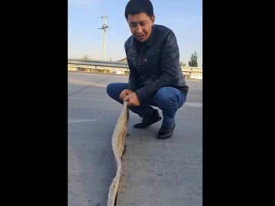 ҚазАвтоЖол жолды пенопластпен сала бастаған ба?.