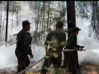 Абай облысындағы өртті сөндіру бойынша ақпарат.