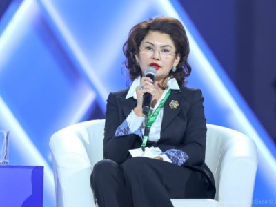 Аида Балаева: Көкжайлау жобасы іске аса ма, жоқ па – нақты шешім жоқ.