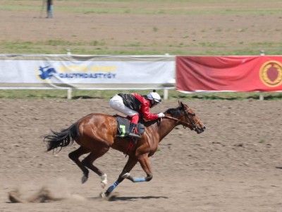 Алматы облысында ұшқыр бәйгеден QAZAQ WORLD CUP турнирі бастау алды.