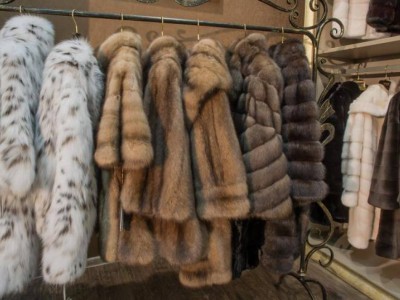 Тон сатып алу арқылы сіз жануарлардың өліміне себепкер боласыз.