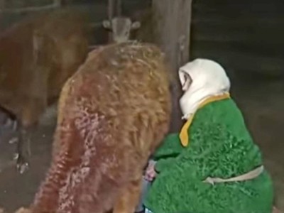 111 жасында сиыр мен бие сауып жүрген қарағандылық әжеге ел сүйсінді.