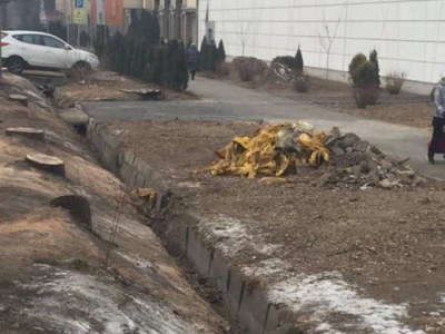 Sulpak кесілген ағаштар үшін қала тұрғындарынан кешірім сұраудан бас тартқан.